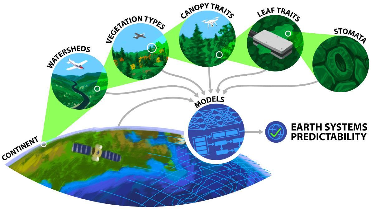 New report explores revolutionary environmental AI infrastructure